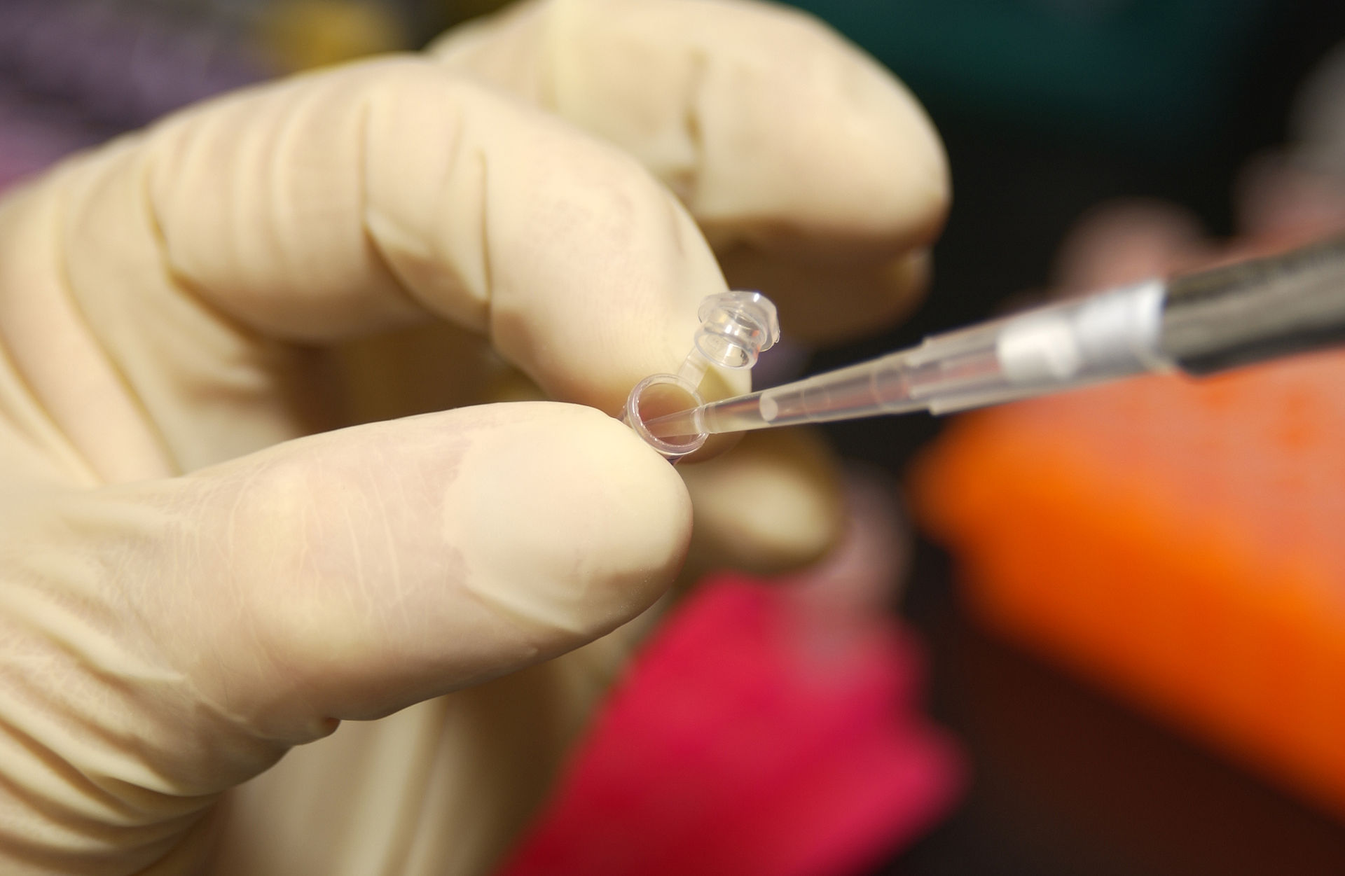 Researcher handling a DNA sample in a laboratory