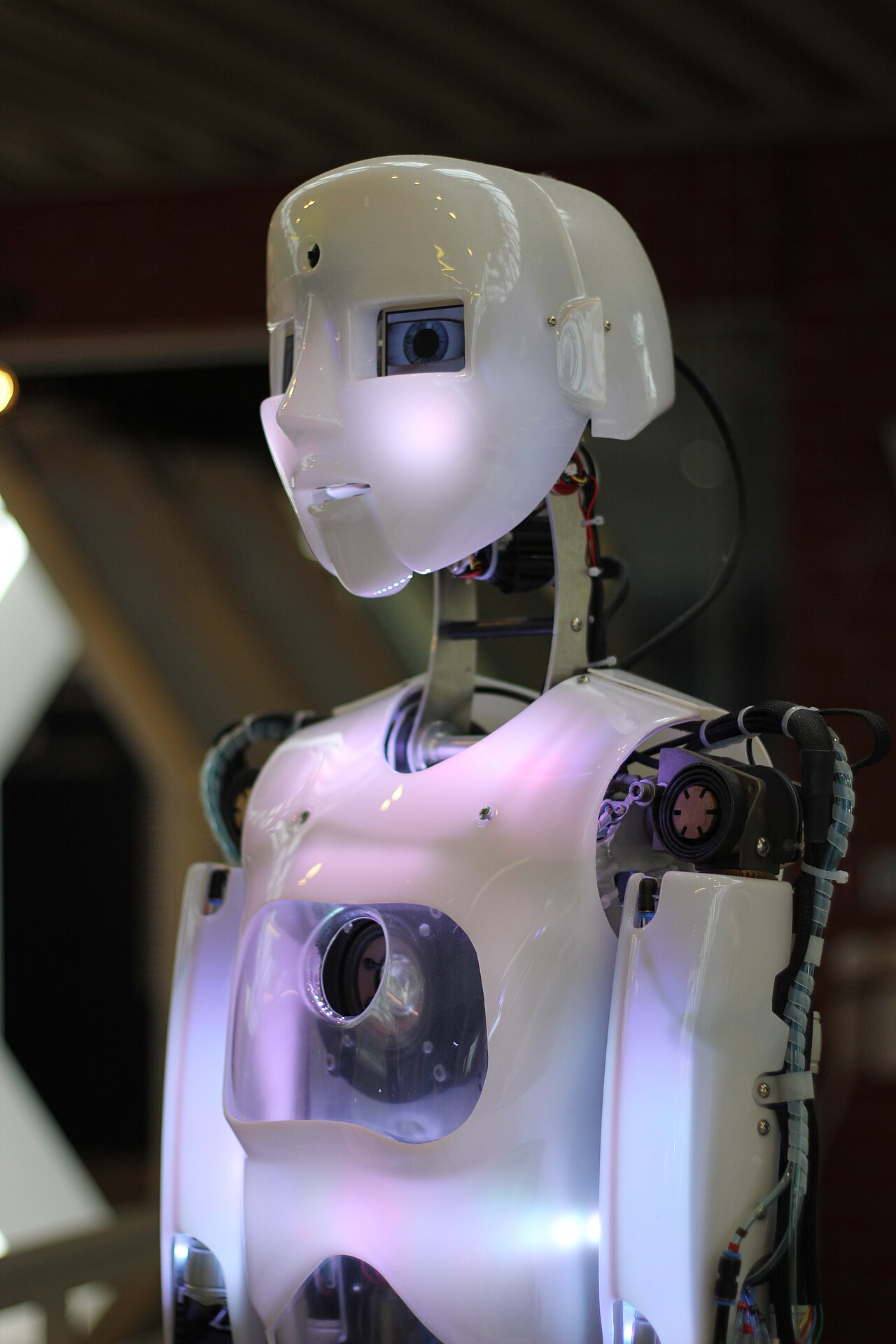 Humanoid robot